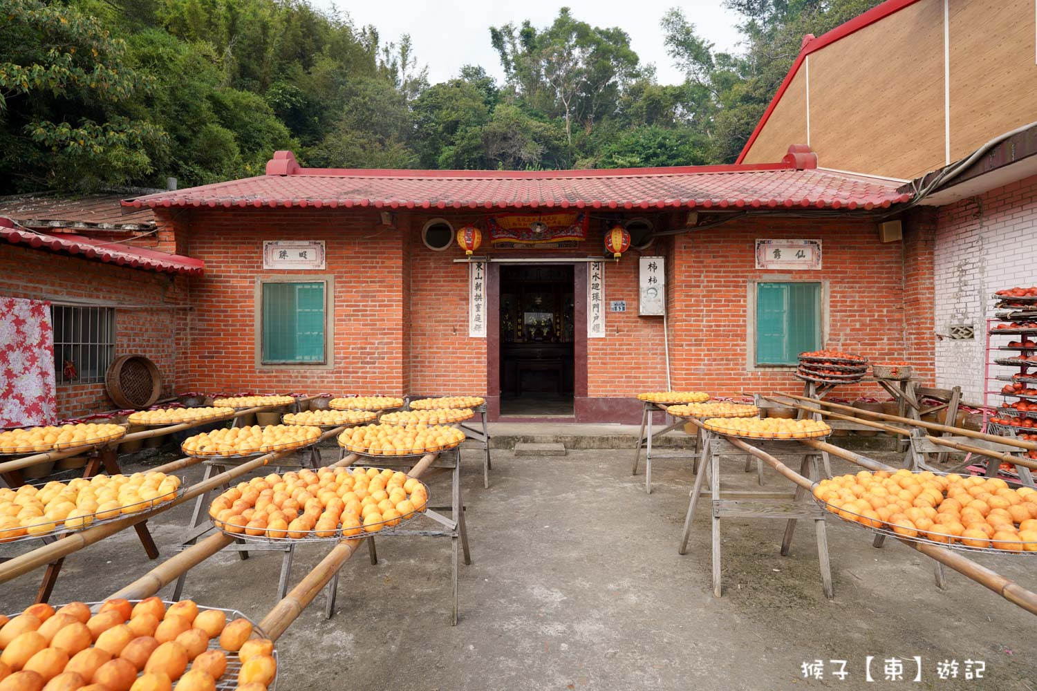 網站近期文章：[新竹] 味衛佳柿餅教育農園 免費參觀 拍照 試吃新埔特產柿餅 壯觀的曬柿場超美