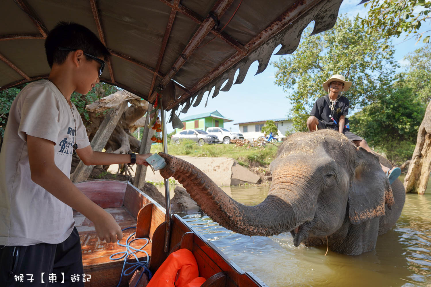 延伸閱讀：[泰國] 大城長尾船看大象洗澡 餵食大象 遊船招披耶河沿岸風光 超有趣 超驚喜